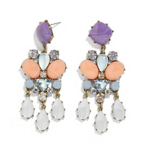 Load image into Gallery viewer, Samba soul Earrings